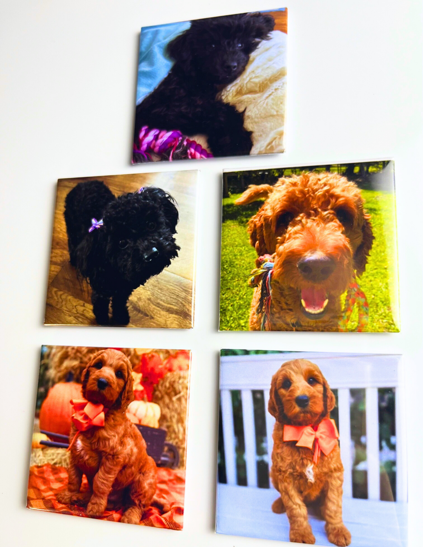 2X2" Custom Photo Magnets